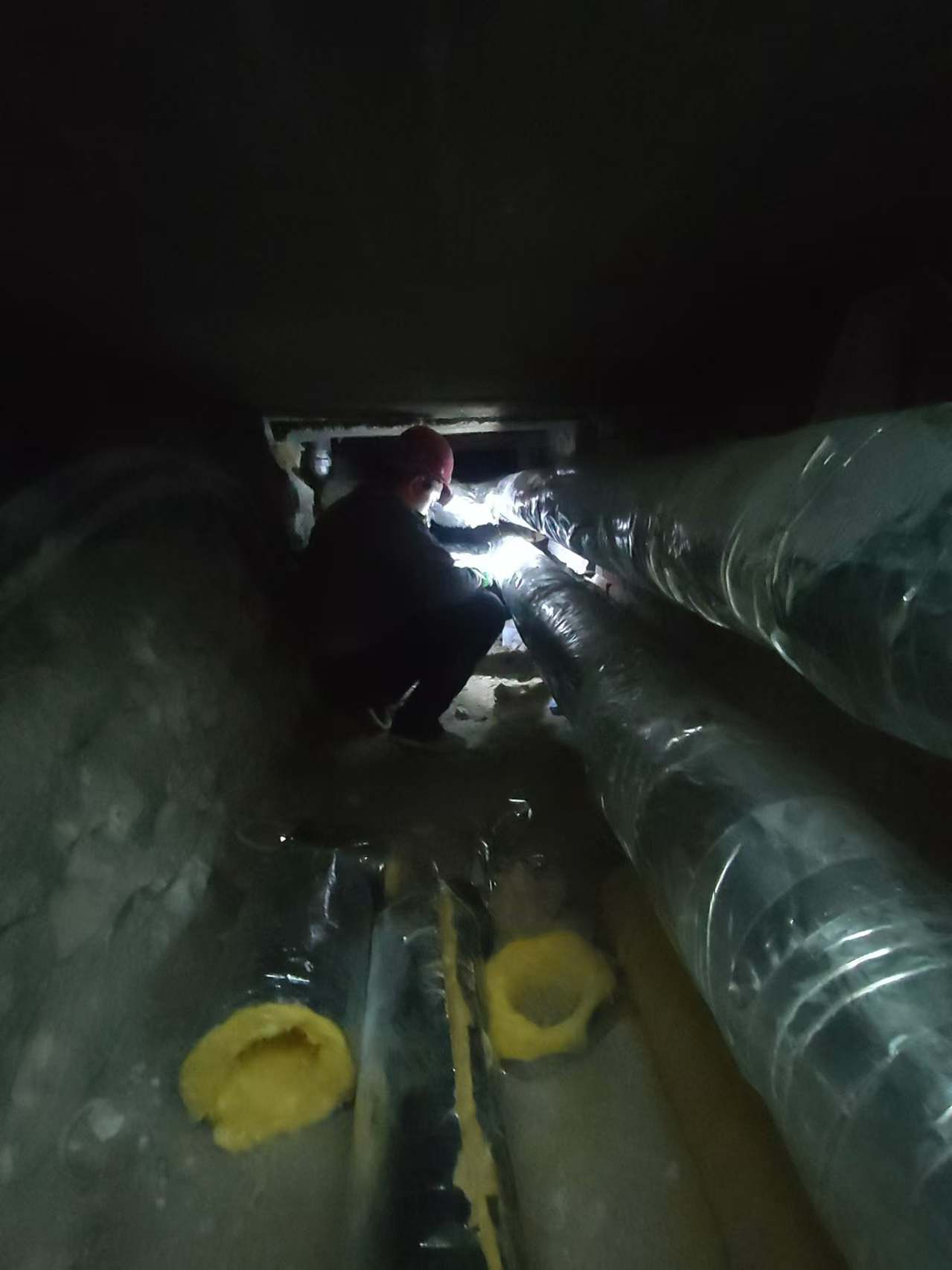 圖片4.png 圖片4.png